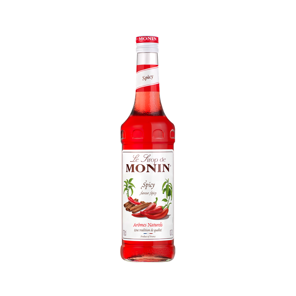 Monin Syrup Spicy 700ML 